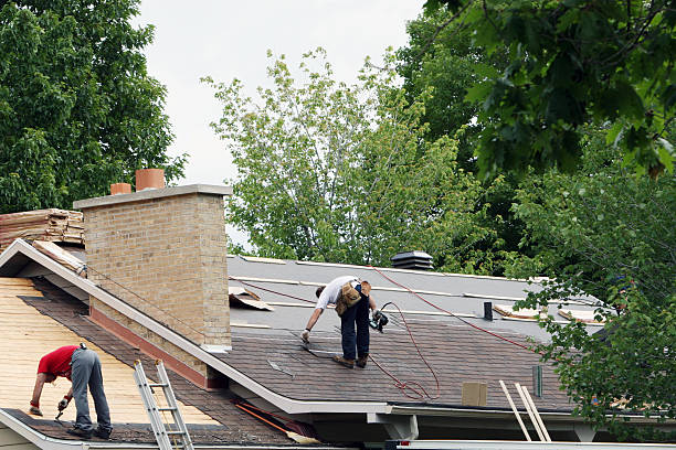 Best Metal Roofing Contractor  in West Wood, UT