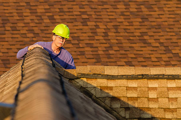 Professional Roofing Contractor in West Wood, UT